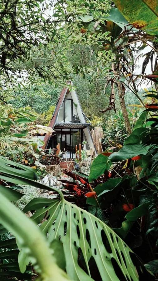 Отель Glamping Salento Con Jacuzzi Climatizado Экстерьер фото